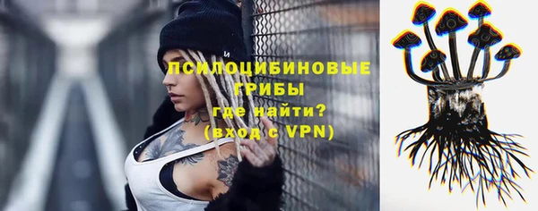 спайс Алзамай